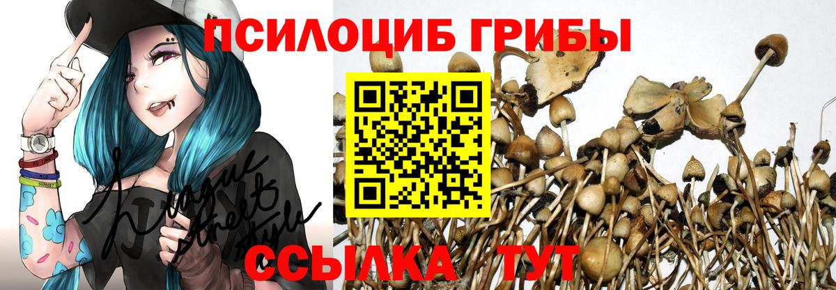 Галлюциногенные грибы MAGIC MUSHROOMS  Вход с VPN  Вязьма 
